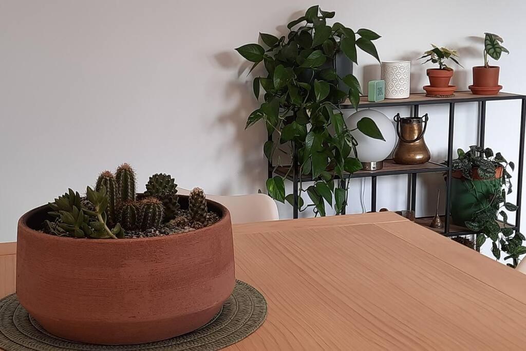 Soleado Apartamento Con Garaje Santander Zewnętrze zdjęcie